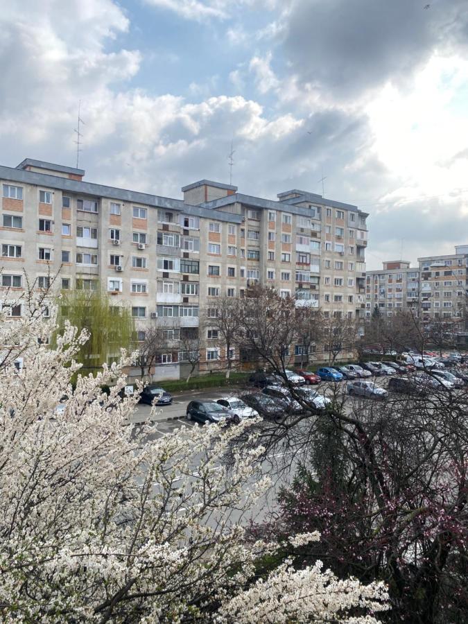Virginia'S Studio Piteşti Exteriér fotografie